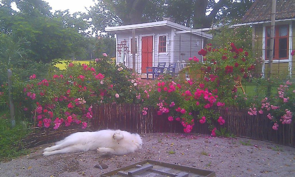 Borakra Bed & Breakfast Karlskrona Zewnętrze zdjęcie